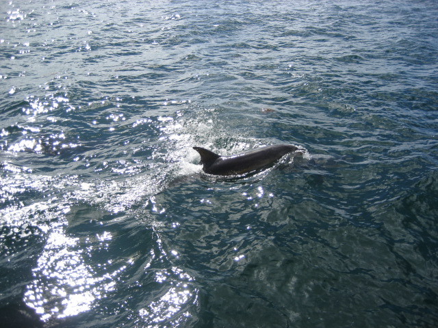 Album: Paihia en kerikeri; Foto: IMG_0084.jpg