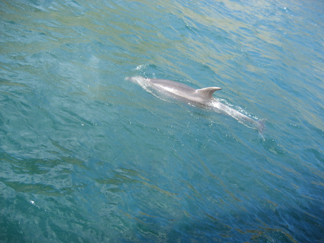 Album: Paihia en kerikeri; Foto: IMG_0090.jpg