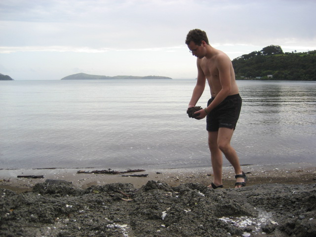 Album: Coromandel; Foto: IMG_0382.JPG