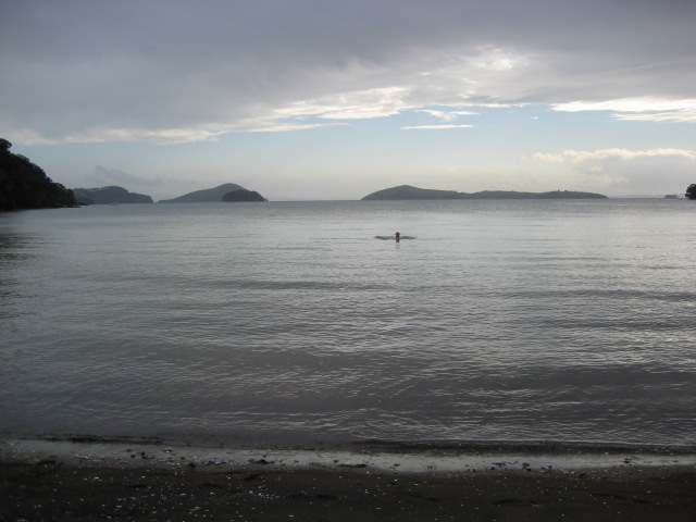 Album: Coromandel; Foto: IMG_0389.JPG