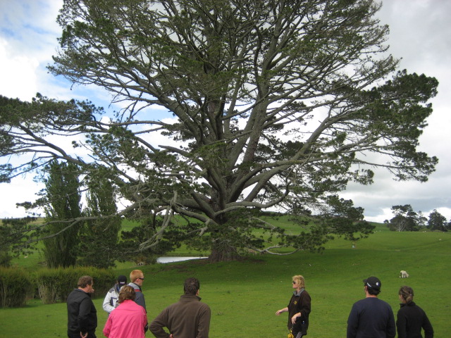 Album: Hobbiton; Foto: IMG_0433.JPG