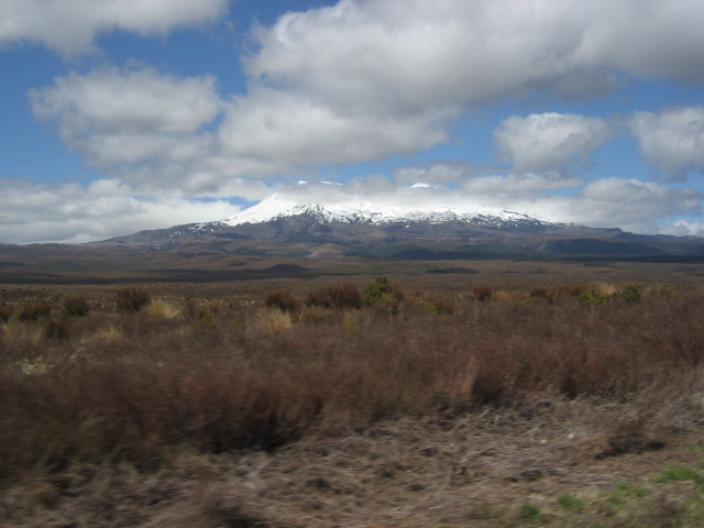 Album: Whakapapa; Foto: IMG_0565.JPG