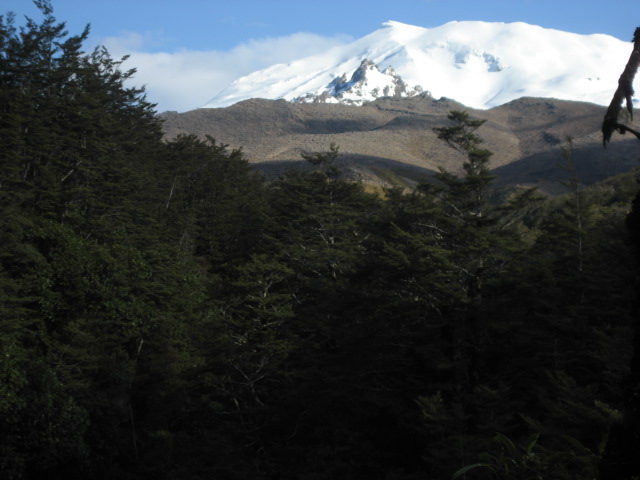 Album: Whakapapa; Foto: IMG_0587.JPG