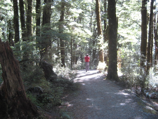 Album: Mount aspiring national park; Foto: IMG_0878.JPG