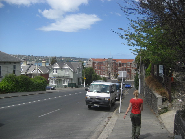 Album: Dunedin; Foto: IMG_1155.JPG