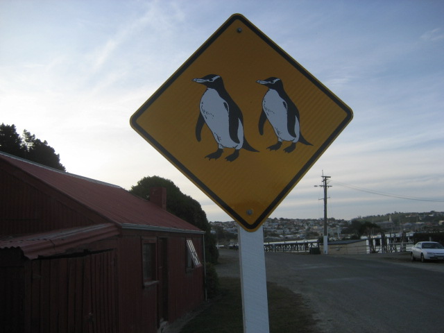 Album: Oamaru; Foto: IMG_1259.JPG