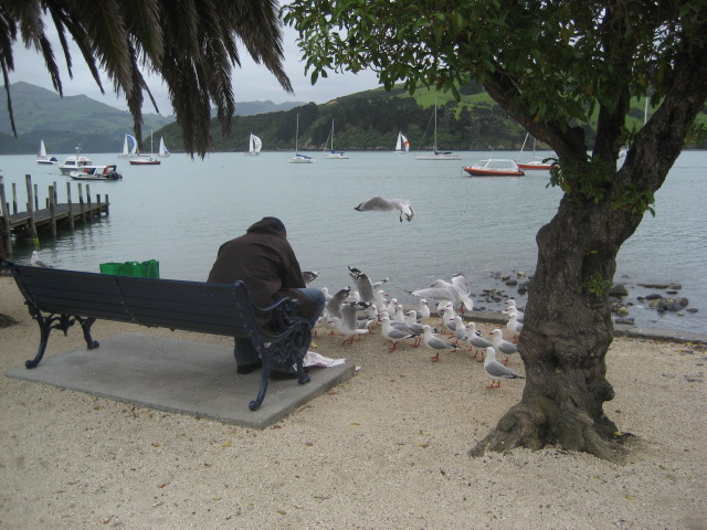 Album: Akaroa; Foto: IMG_1285.JPG