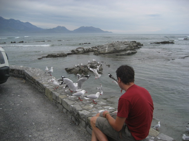Album: Kaikoura; Foto: IMG_1361.JPG