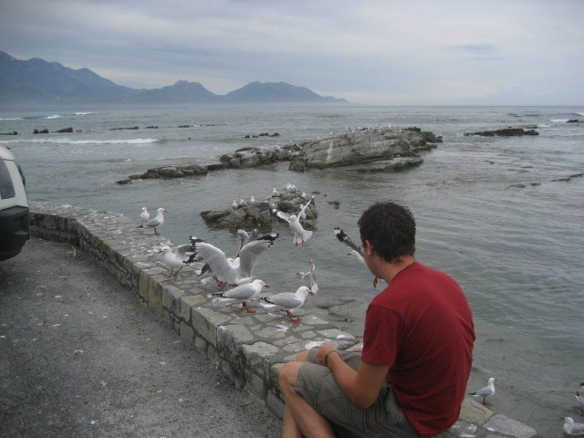 Album: Kaikoura; Foto: IMG_1361.JPG