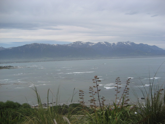 Album: Kaikoura; Foto: IMG_1376.JPG